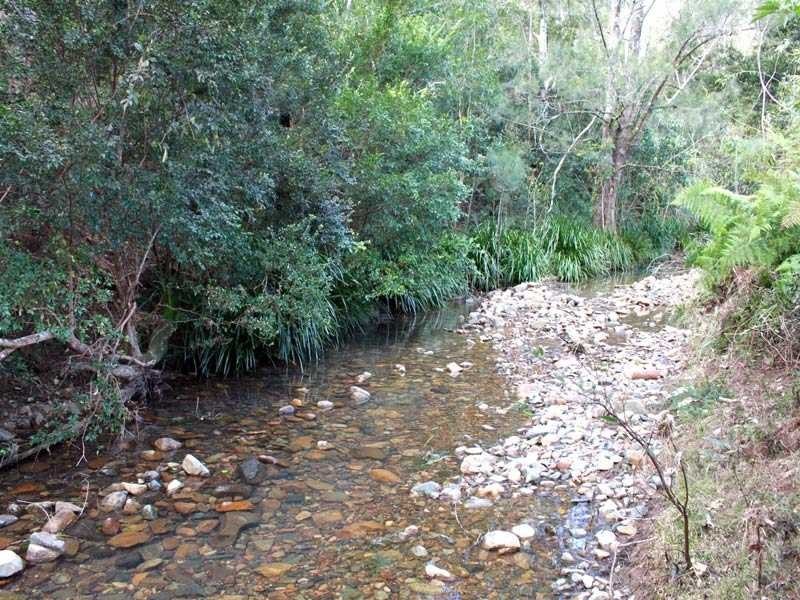 Lot 5 Long Flat Creek Road, Wittitrin NSW 2440