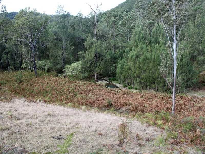Lot 5 Long Flat Creek Road, Wittitrin NSW 2440