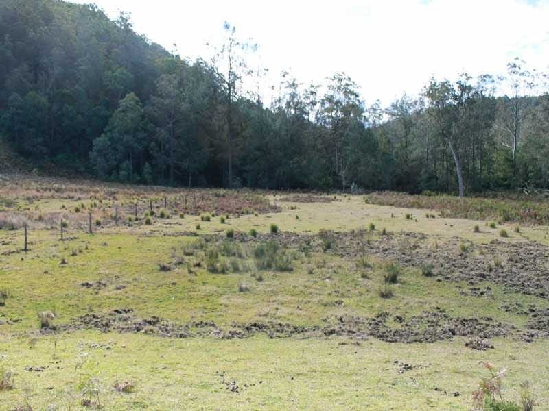 Lot 5 Long Flat Creek Road, Wittitrin NSW 2440