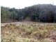 Lot 5 Long Flat Creek Road, Wittitrin NSW 2440