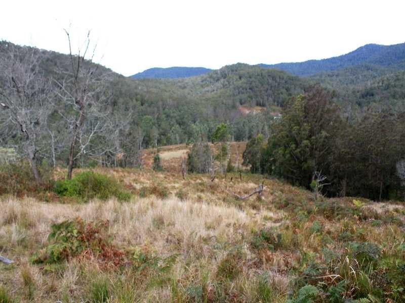 Lot 5 Long Flat Creek Road, Wittitrin NSW 2440