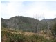 Lot 5 Long Flat Creek Road, Wittitrin NSW 2440