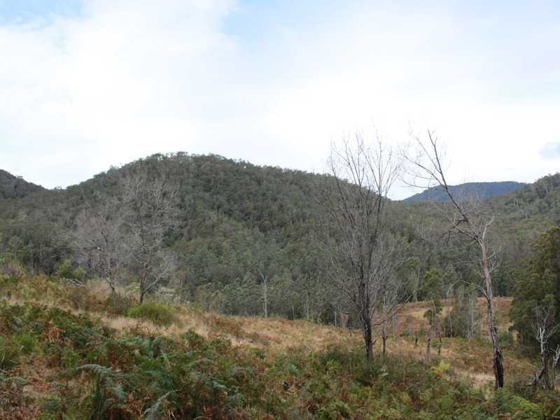 Lot 5 Long Flat Creek Road, Wittitrin NSW 2440