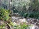 Lot 5 Long Flat Creek Road, Wittitrin NSW 2440