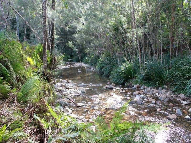 Lot 5 Long Flat Creek Road, Wittitrin NSW 2440