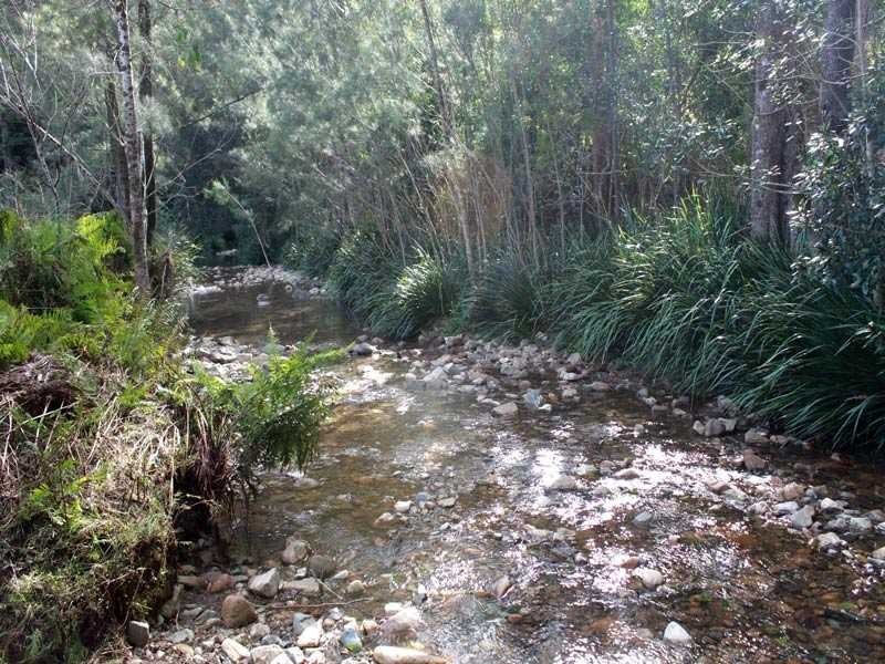 Lot 5 Long Flat Creek Road, Wittitrin NSW 2440