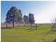 Kempsey NSW 2440