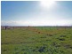 Kempsey NSW 2440