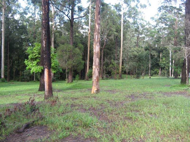 22 Hillview Drive, Aldavilla NSW 2440