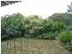 45 Albert Street, Kempsey NSW 2440