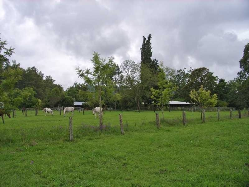 2972 Willi Willi Road, Kempsey NSW 2440