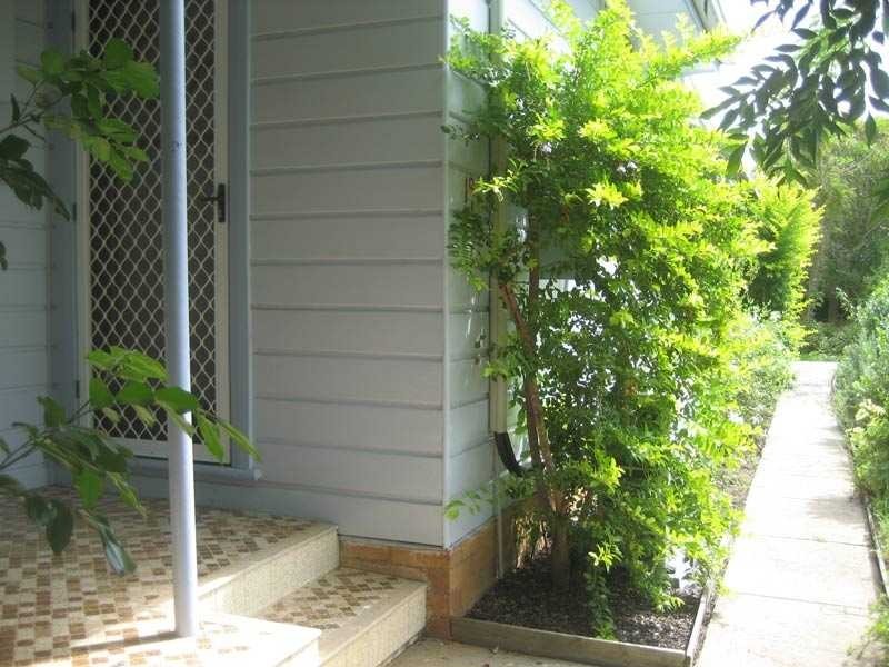 19 Greenfields Avenue, Kempsey NSW 2440