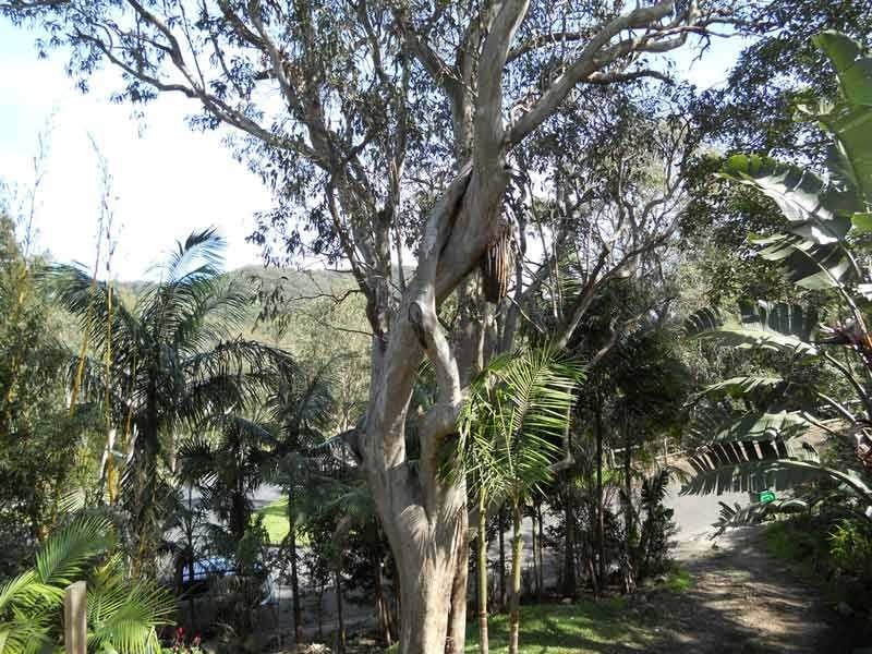 26 Kinchela Street, Crescent Head NSW 2440