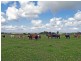 19 Third Lane, Kempsey NSW 2440