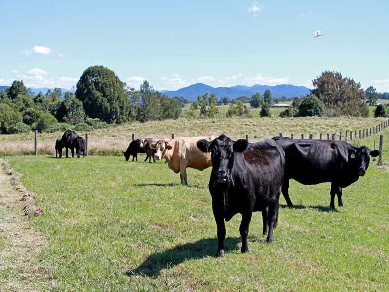 82 Mulbury Place, Euroka NSW 2440