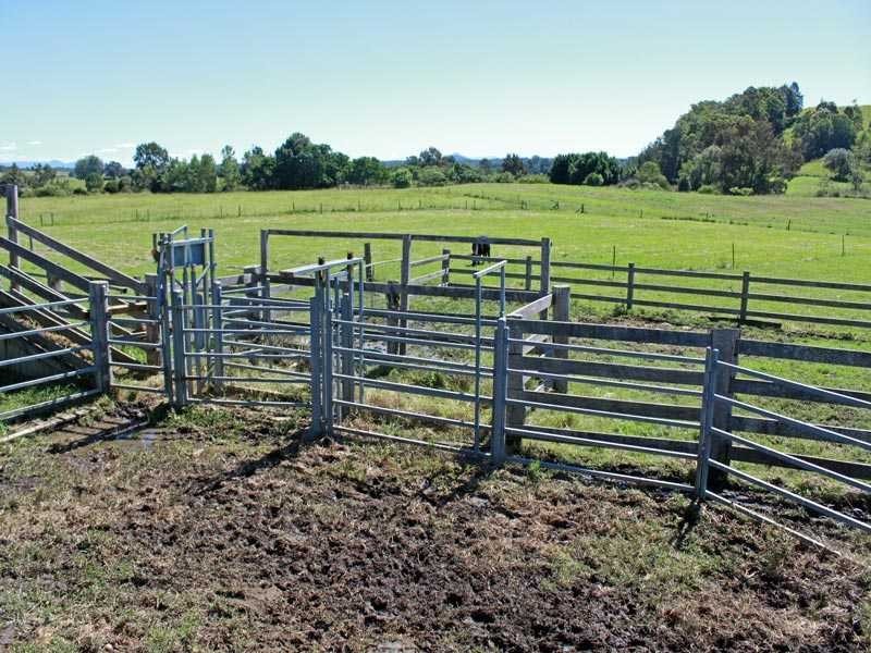 82 Mulbury Place, Euroka NSW 2440