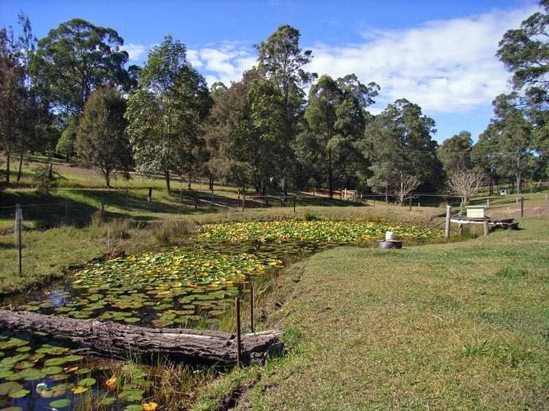 29 Steeles Creek Road, Aldavilla NSW 2440