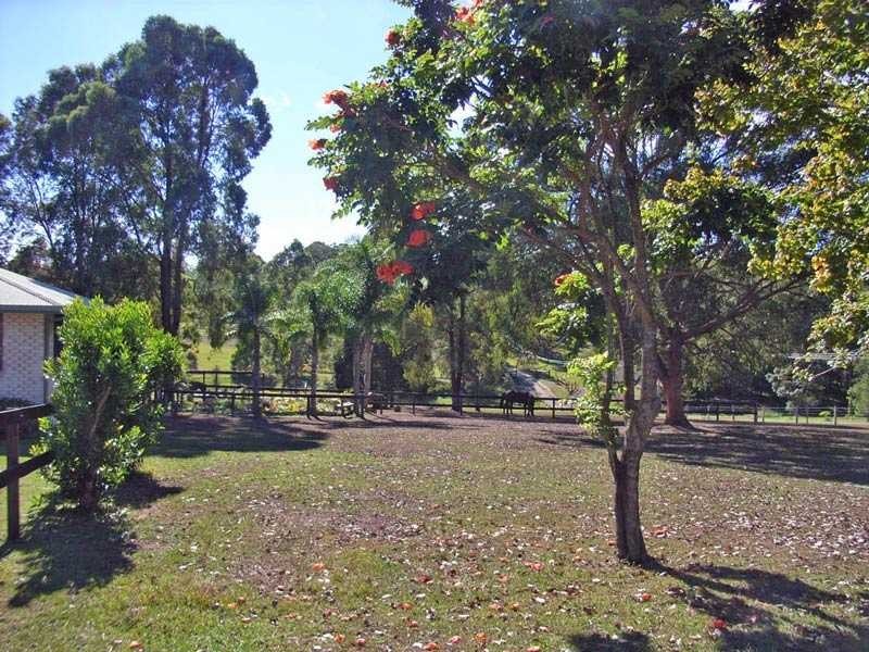 29 Steeles Creek Road, Aldavilla NSW 2440