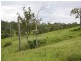 Kyogle NSW 2474