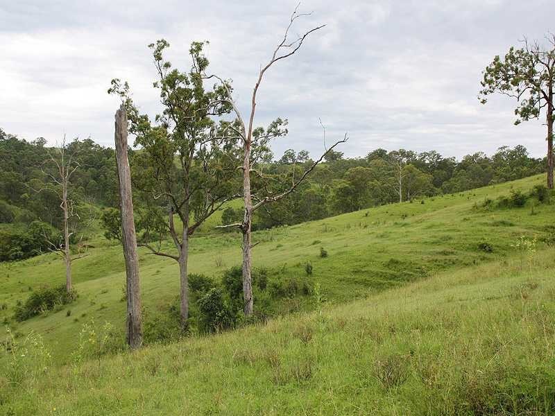 Kyogle NSW 2474