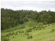 Kyogle NSW 2474