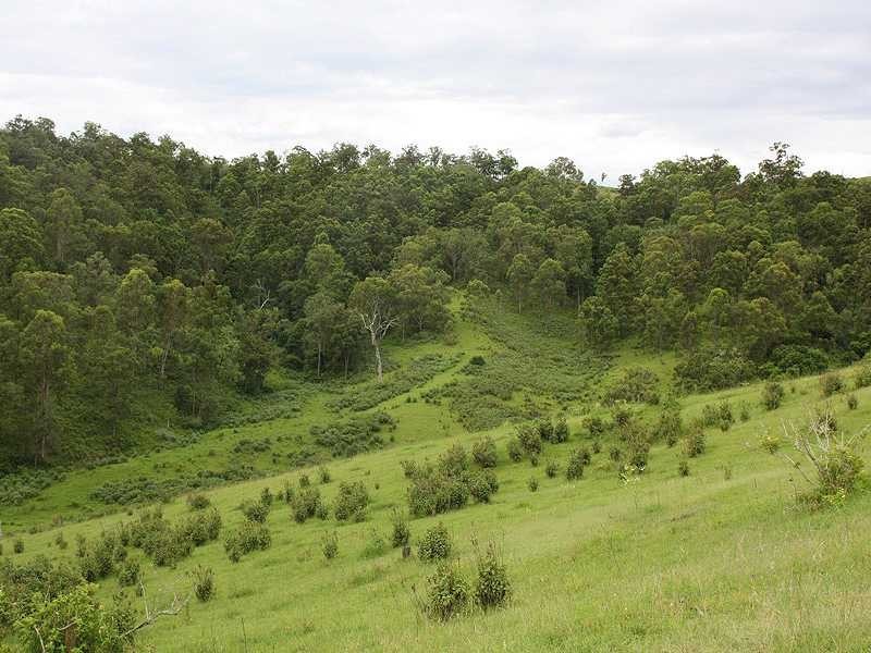 Kyogle NSW 2474