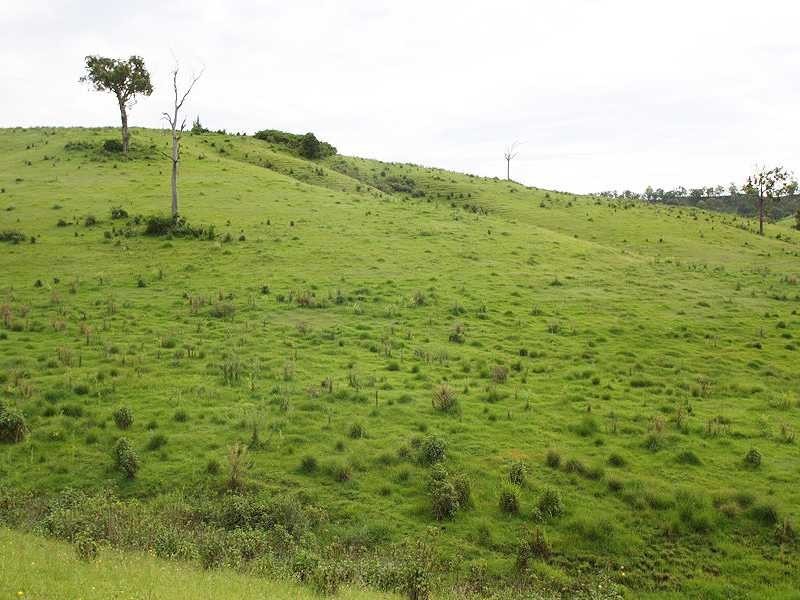 Kyogle NSW 2474