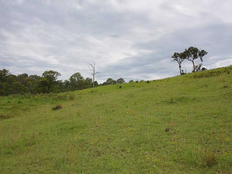Kyogle NSW 2474
