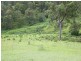 Kyogle NSW 2474