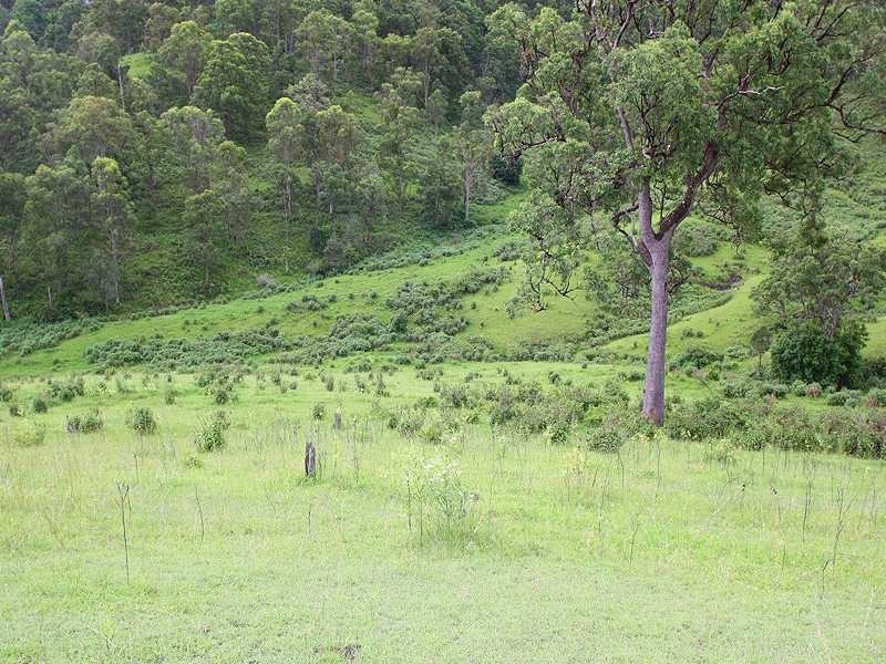 Kyogle NSW 2474