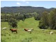Cawongla NSW 2474