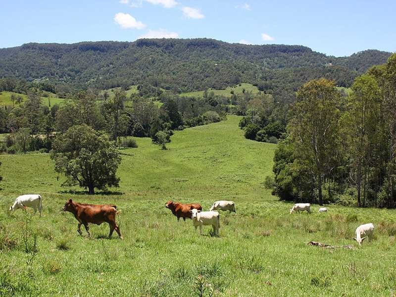 Cawongla NSW 2474