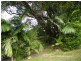 248 Smiths Creek Road, Kyogle NSW 2474