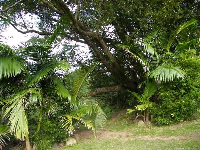 248 Smiths Creek Road, Kyogle NSW 2474