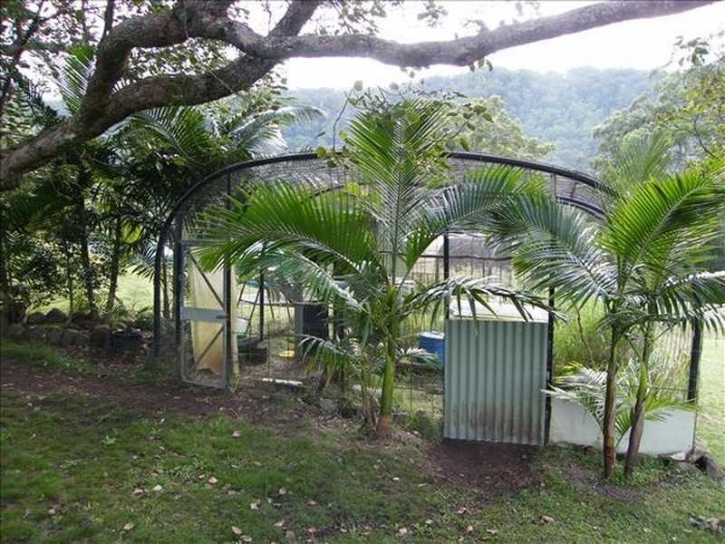 248 Smiths Creek Road, Kyogle NSW 2474