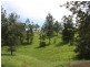 Kyogle NSW 2474