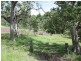 Kyogle NSW 2474