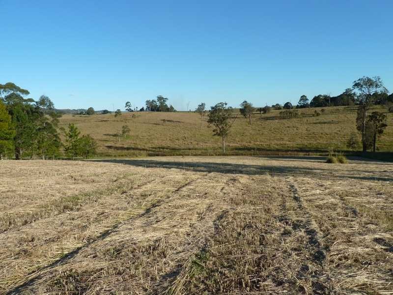 126 Runnymede Road, Kyogle NSW 2474