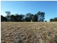 126 Runnymede Road, Kyogle NSW 2474