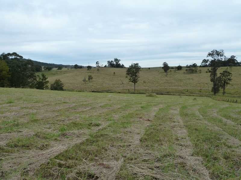 126 Runnymede Road, Kyogle NSW 2474