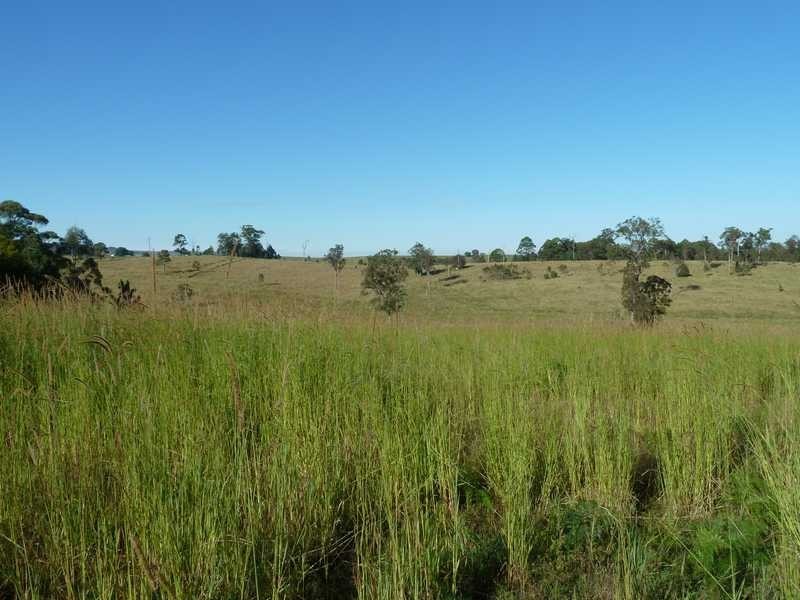 126 Runnymede Road, Kyogle NSW 2474