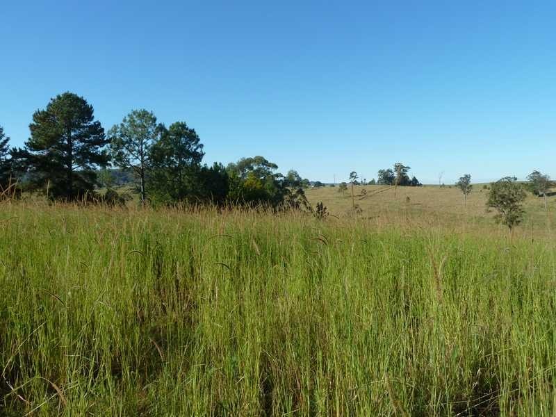 126 Runnymede Road, Kyogle NSW 2474