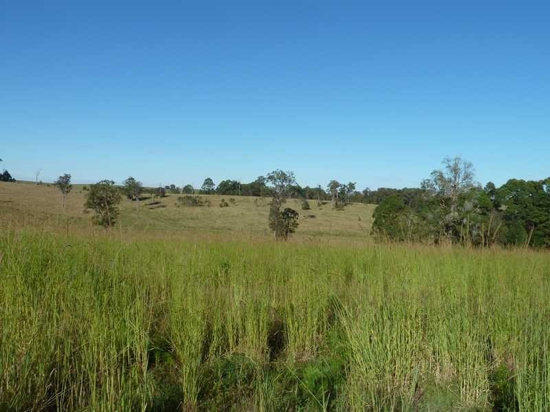 126 Runnymede Road, Kyogle NSW 2474