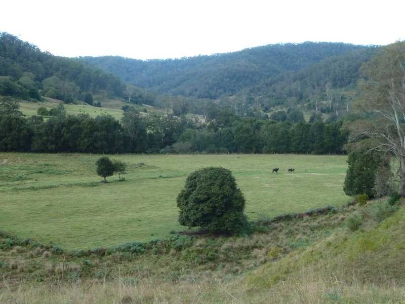 405 Findon Creek Road, Kyogle NSW 2474