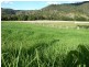 405 Findon Creek Road, Kyogle NSW 2474