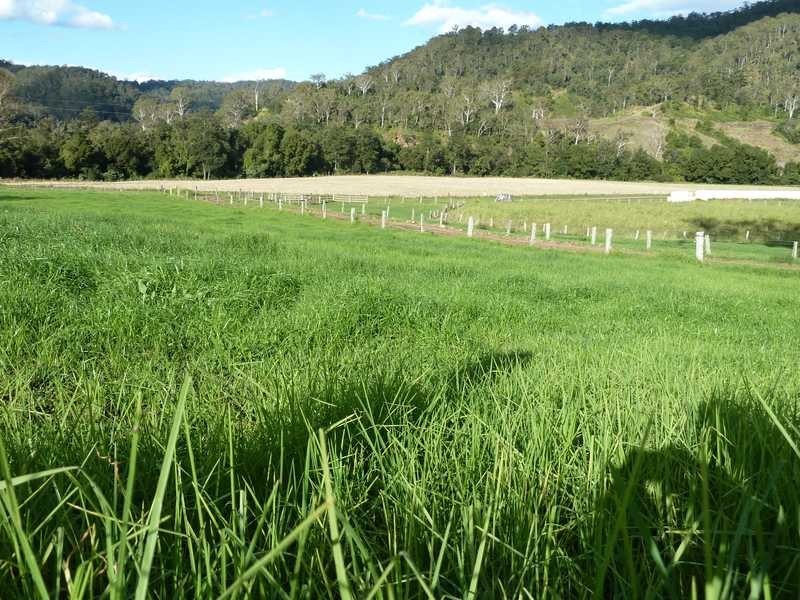 405 Findon Creek Road, Kyogle NSW 2474