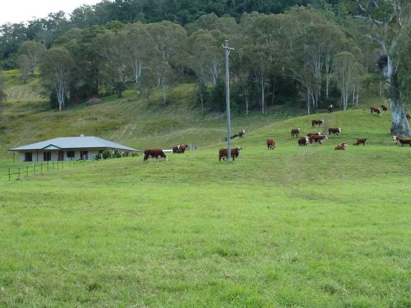 405 Findon Creek Road, Kyogle NSW 2474