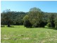 349 Findon Creek Road, Kyogle NSW 2474