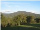 109 Moores Road, The Risk NSW 2474