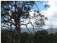 109 Moores Road, The Risk NSW 2474